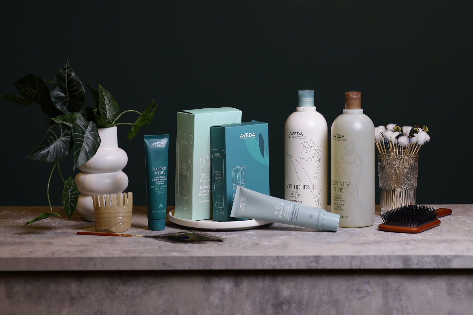 AVEDA01 AVEDA01